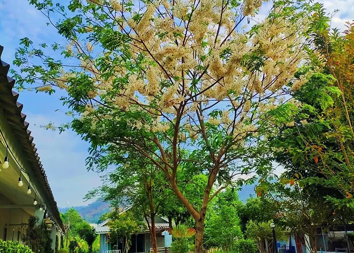 บ้านไม้หอมบูติค สวนผึ้ง บ้านบ่อหวี